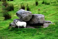 image037.jpg