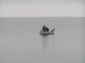 image017.jpg