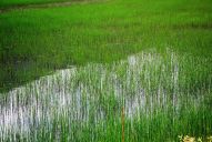 image039.jpg