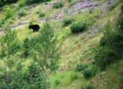 image049.jpg