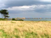 image126.jpg