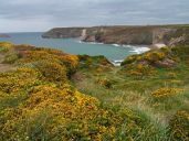 image123.jpg