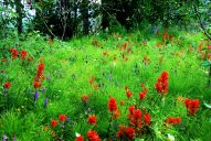 image051.jpg